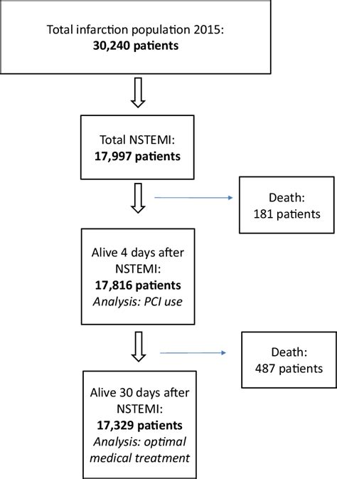 Non St Elevation Myocardial Infarction Nstemi Patient Cohort Pci