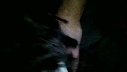 Pompino Ad Amico Nero Amateur Amateur Porn XHamster