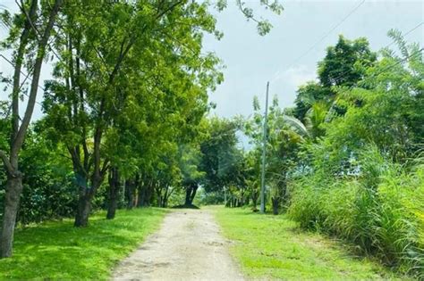 Venta De Terreno De Playa En Punta Barco Chame P Inmopanama