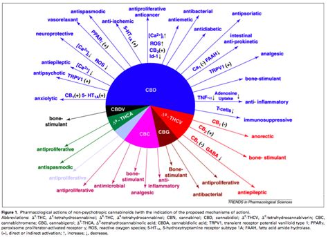 Cannabinoids Pie Chartpng Cannabis Digest