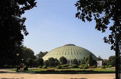 Jardins Do Palácio De Cristal Porto