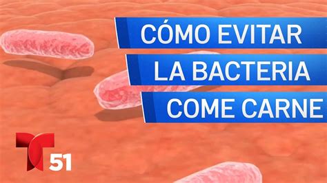 Bacteria Come Carne Todo Lo Que Necesitas Saber YouTube