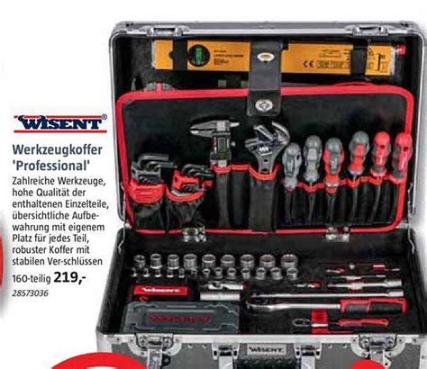 Wisent Werkzeugkoffer ' Professional ' Angebot bei Bauhaus - 1Prospekte.de