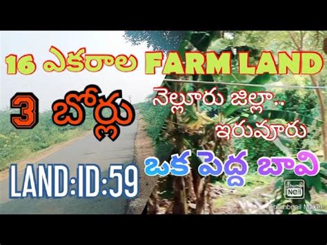 Acres Of Red Soil Land For Sale With Cc Camera Nellore Dt Ap