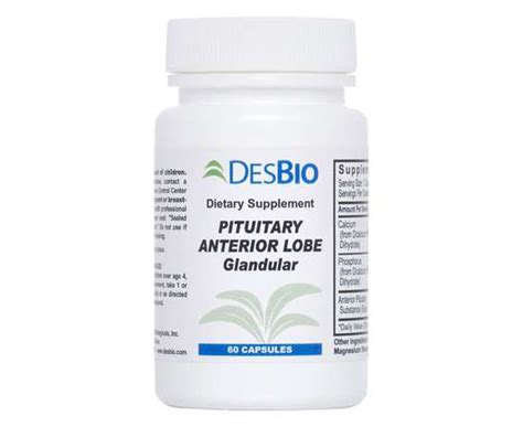 Pituitary Anterior Lobe | pHotential Health