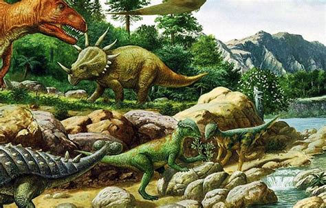 C Mo Evolucionaron Los Dinosaurios Sooluciona