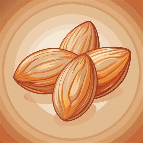 Premium Vector Almonds Nuts Plantbased Food Vector Illustration