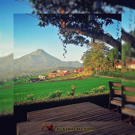 Cafe Trawas Terbaru Tempat Nongkrong Dengan Pemandangan Gunung Yang