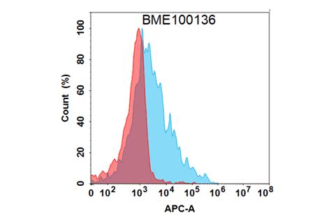 Amyloid Precursor Protein Antibody [aducanumab Biosimilar] A318835