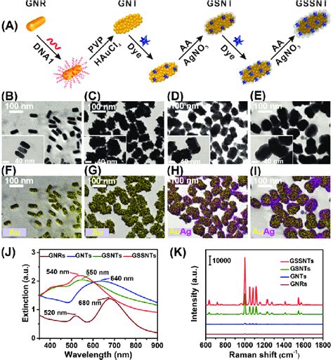 A Schematic Illustration Of The Fabrication Of Sers Active Nanotags