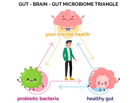 Biogreen2u Online Organic Store Gut Brain Axis