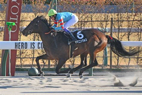 〝砂の大器〟ヤマニンウルスは武豊とのコンビで平安sへ 無傷の5連勝狙う【次走報】（東スポ競馬）｜dメニューニュース（nttドコモ）