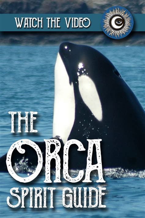 Orca Spirit Guide Ask The Spirit Guides Oracle Magical Crafting