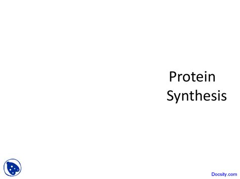 Synthesis of Protein, Cell Biology - Biology - Lecture Slides - Docsity