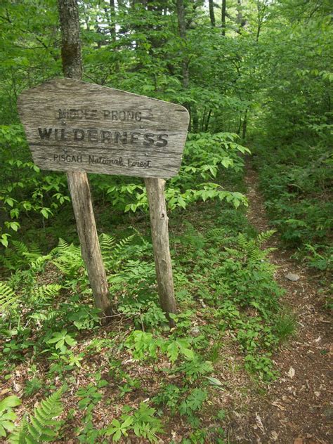 Hiking in the Middle Prong Wilderness Area of Pisgah National Forest