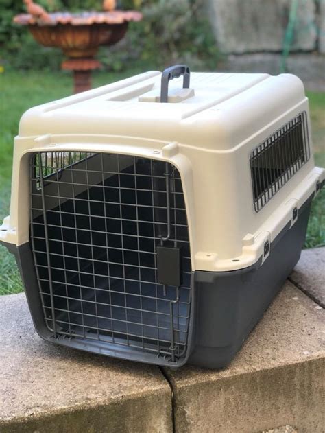 Hunde Transportbox Kaufen Auf Ricardo