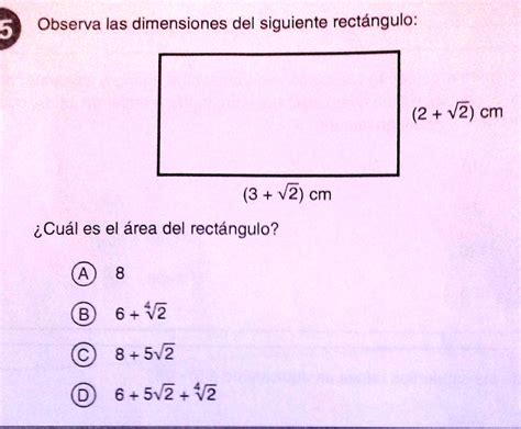 Solved Observa La Dimensiones Del Siguientes Rectangulo Observa Las