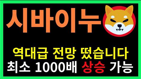 시바이누 대박 역대급 전망 떴습니다 최소 1000배 상승 시바이누코인 시바이누전망 시바이누대응 시바이누분석