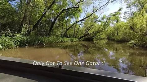 Honey Island Swamp Tour Youtube