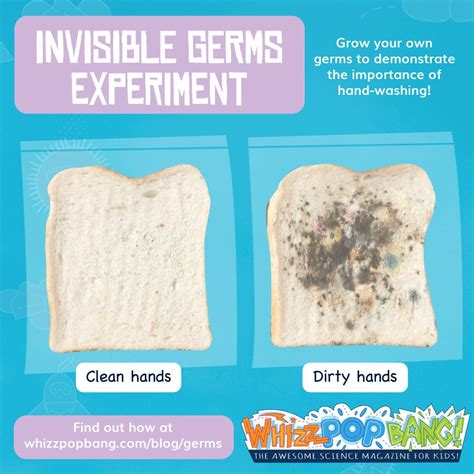 Invisible germs experiment – Whizz Pop Bang Blog