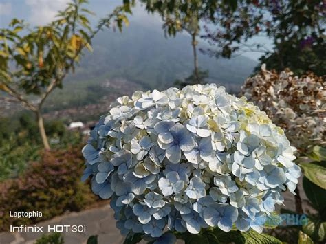 Review Infinix Hot I Smartphone Murah Dengan Ram Gb Dan Kamera Mp Laptophia