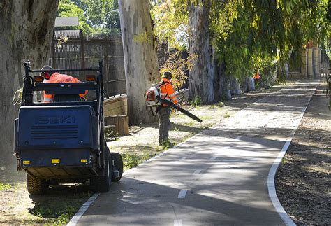 El Nuevo Acerado Del Carril Bici Entre Jerez Y Guadalcac N M S Cerca