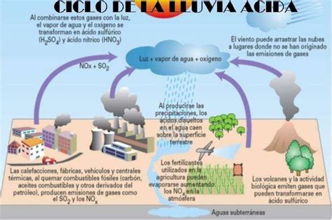 Esquema De La Lluvia Cida Fotos Gu A