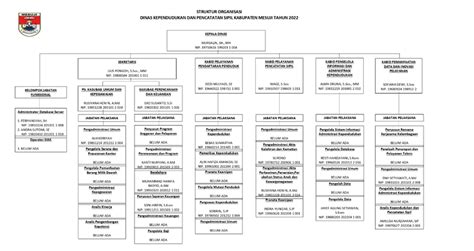 Struktur Organisasi Dinas Kependudukan Dan Pencatatan Sipil Kab Mesuji