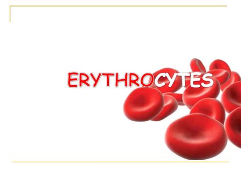 Rbcmorphology 140722103459 Phpapp02 Copy Ppt Free Download