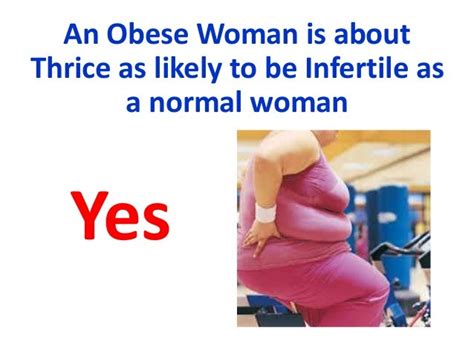 Obesity And Female Infertility ‘a Real And Alarming Problem For Infert