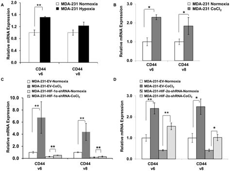 Mrna Expression Levels In Mda Mb Wild Type Cells A Under Normoxia