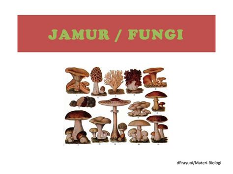 Jamur Fungi Ppt