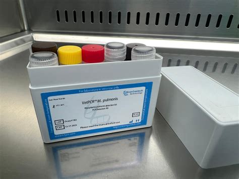 Mycoplasma Pulmonis Detection Kits Pcr Kit