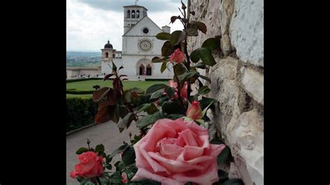 Chiesetta Tra Le Rose Valzer Video Live Franco Cavallari Youtube