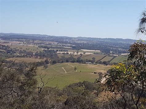 Mount Barker Summit Updated 2021 All You Need To Know Before You Go