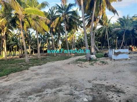 Acre Coconut Farm Land For Sale At Mettukadi Tiruppur Farmads In