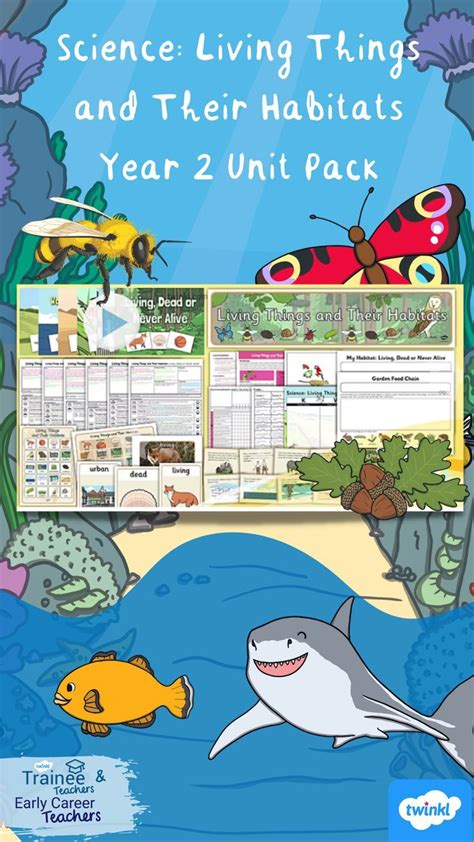 This Brilliant Unit Pack Includes All The Lesson Packs And Home