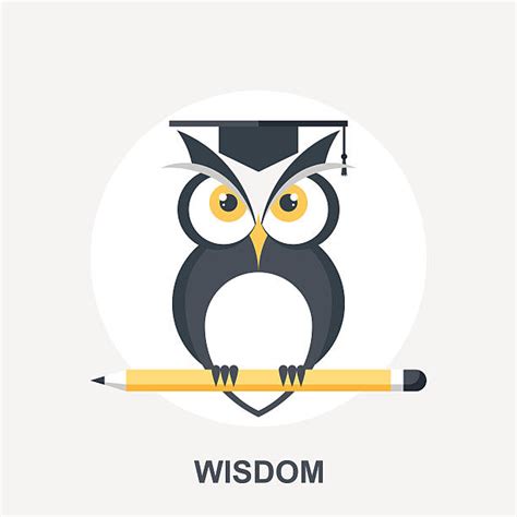 owl wisdom stock illustrations royalty  vector graphics