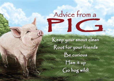 Pig Funny Quotes Funny Memes