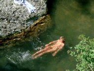 Naked Marie Anne Chazel In Les Babas Cool