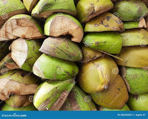 Photo Of A Pile Of Green Coconut Shells Stock Image Image Of Frame