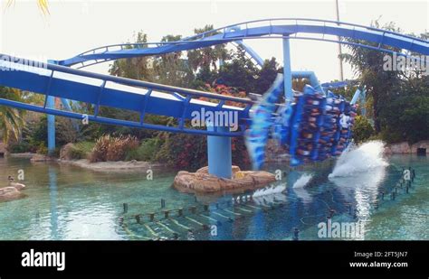 Seaworld Orlando Manta Stock Videos And Footage Hd And 4k Video Clips