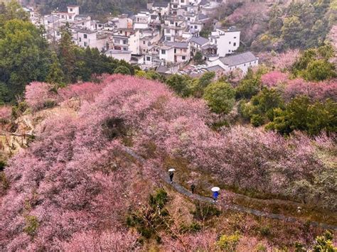 歙县卖花渔村游玩攻略简介歙县卖花渔村门票地址图片开放时间照片门票价格【携程攻略】