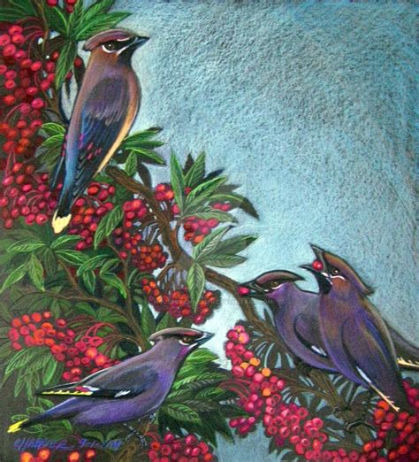 Cedar Waxwings Pyracanthaberry By Houseofchabrier On Deviantart