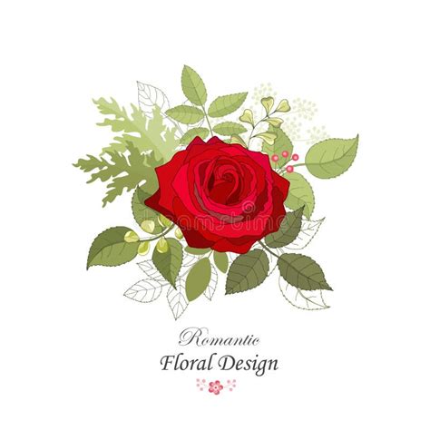 Flowers Set The Rose Elegant Card Vector Illustration Stock Vector Illustration Of Beautiful