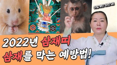 2022년 임인년 원숭이띠쥐띠용띠 주목 삼재를 막는 예방법은 명주아씨가 삼재의 비밀을 알려드립니다 Youtube