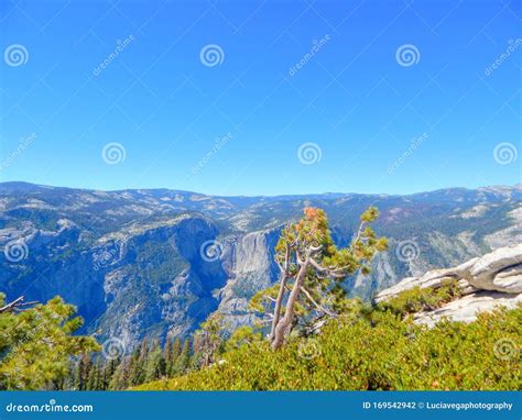 Paisaje Desde El Punto Glaciar En El Parque Nacional Yosemite Foto De