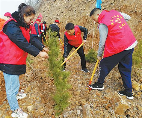 我市举行春季义务植树活动 平顶山新闻网