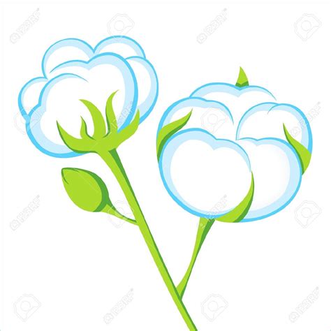 Cotton plant clipart 18 free Cliparts | Download images on Clipground 2025