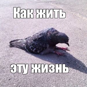 Мем: "Как жить эту жизнь" - Все шаблоны - Meme-arsenal.com